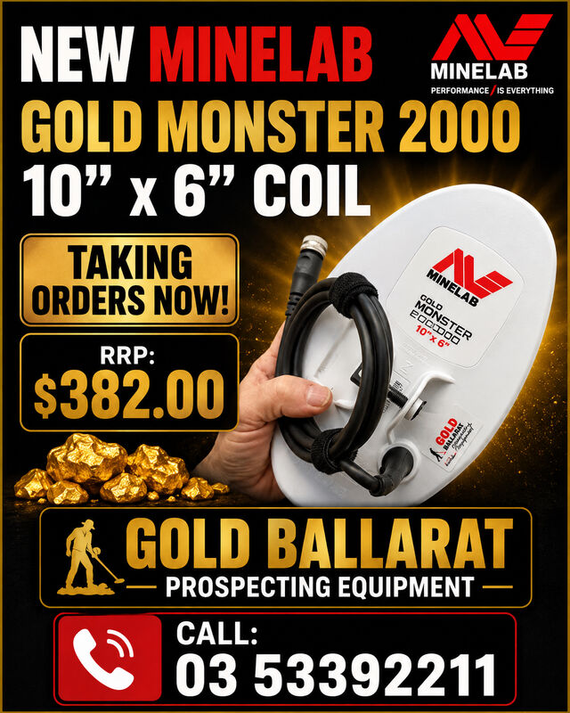 GOLD MONSTER 2000 GM10 DD COIL WITH SKIDPLATE   10 X 6 COIL BY 