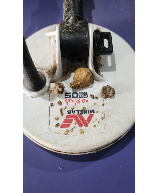 MINELAB GOLD MONSTER 2000   CALL NOW FOR STOCK 03 53392211