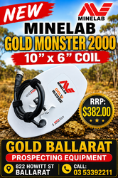 GOLD MONSTER 2000 GM10” DD COIL WITH SKIDPLATE - 10" X 6" COIL 