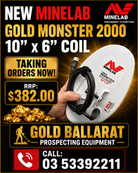GOLD MONSTER 2000 GM10” DD COIL WITH SKIDPLATE - 10" X 6" COIL BY 