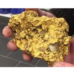 GOLD NUGGET FINDS