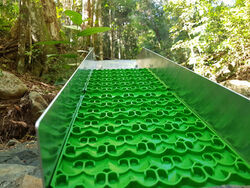 888 8 LUCKY SLUICE WITH MINI CELL DREAM MAT   BARE BONES    GOLD RAT