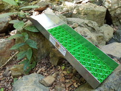 888 8 LUCKY SLUICE WITH MINI CELL DREAM MAT   BARE BONES    GOLD RAT
