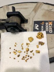 GOLD BALLARAT PROSPECTING EQUIPMENT   EUREKA FINDS   2