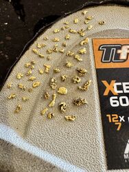GOLD BALLARAT PROSPECTING EQUIPMENT   EUREKA FINDS   2