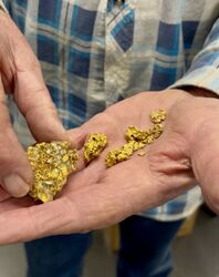 GOLD BALLARAT PROSPECTING EQUIPMENT   EUREKA FINDS   3