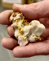 GOLD BALLARAT PROSPECTING EQUIPMENT   EUREKA FINDS   3