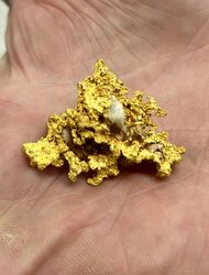 GOLD BALLARAT PROSPECTING EQUIPMENT   EUREKA FINDS   3