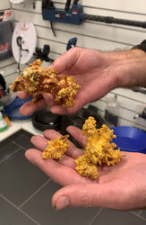 GOLD BALLARAT PROSPECTING EQUIPMENT   EUREKA FINDS   3