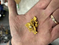 GOLD BALLARAT PROSPECTING EQUIPMENT   EUREKA FINDS   3