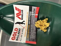 GOLD BALLARAT PROSPECTING EQUIPMENT   EUREKA FINDS   3
