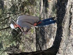 MINELAB GOLD MONSTER 2000   CALL NOW FOR STOCK 03 53392211